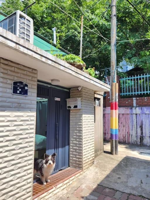 Ilbo Homestay