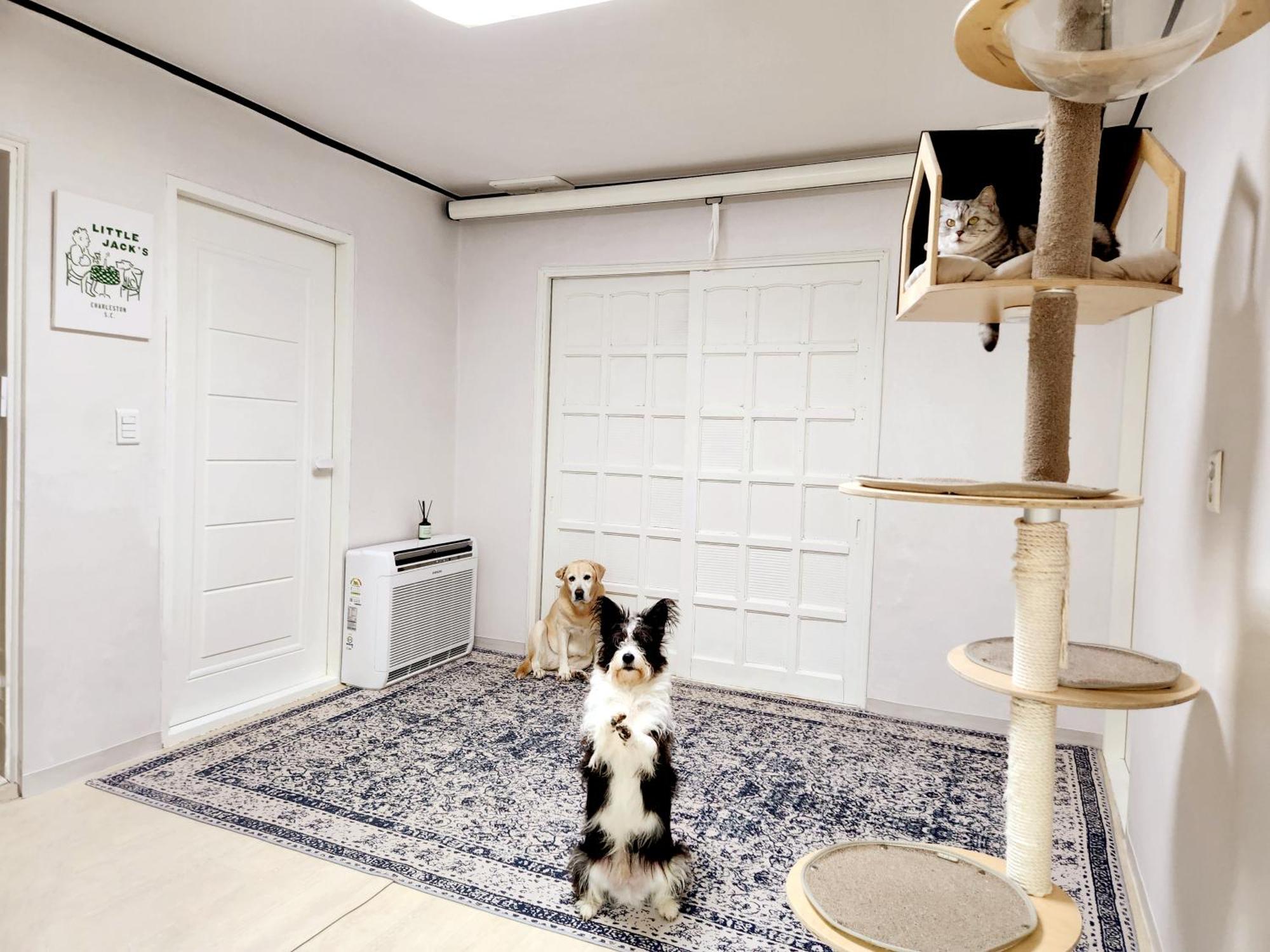 Ilbo Homestay